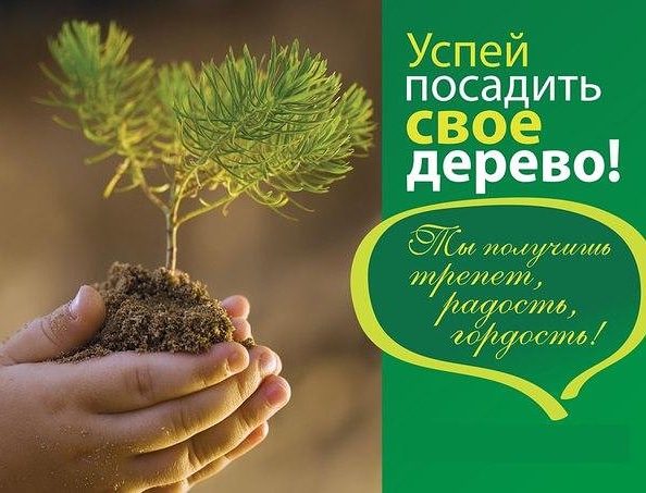 Акция "Всероссийский день посадки леса"